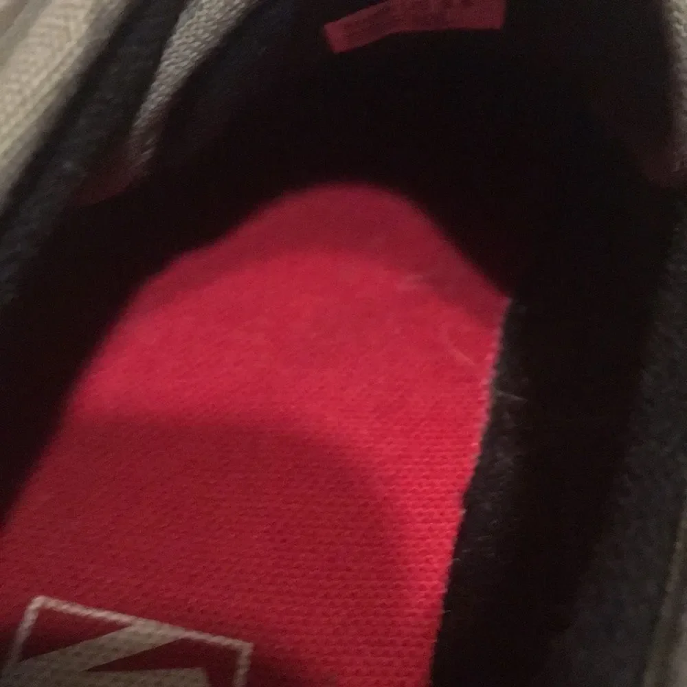 Vans excellent pair